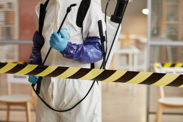 Professional Blood Cleanup technician working in Brush, CO